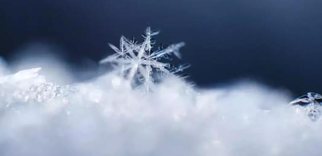 不全请补充:飞花令—雪