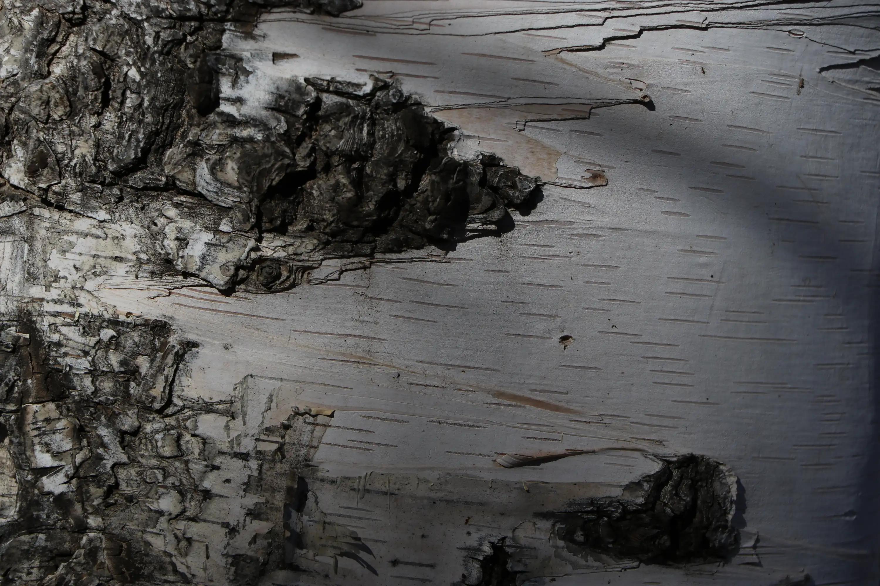 怀柔喇叭沟门原始森林2日自驾游,怀柔喇叭沟门原始森林骑行