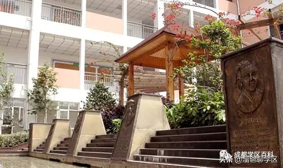 大源片区小学排名,高新区大源片区学校排名