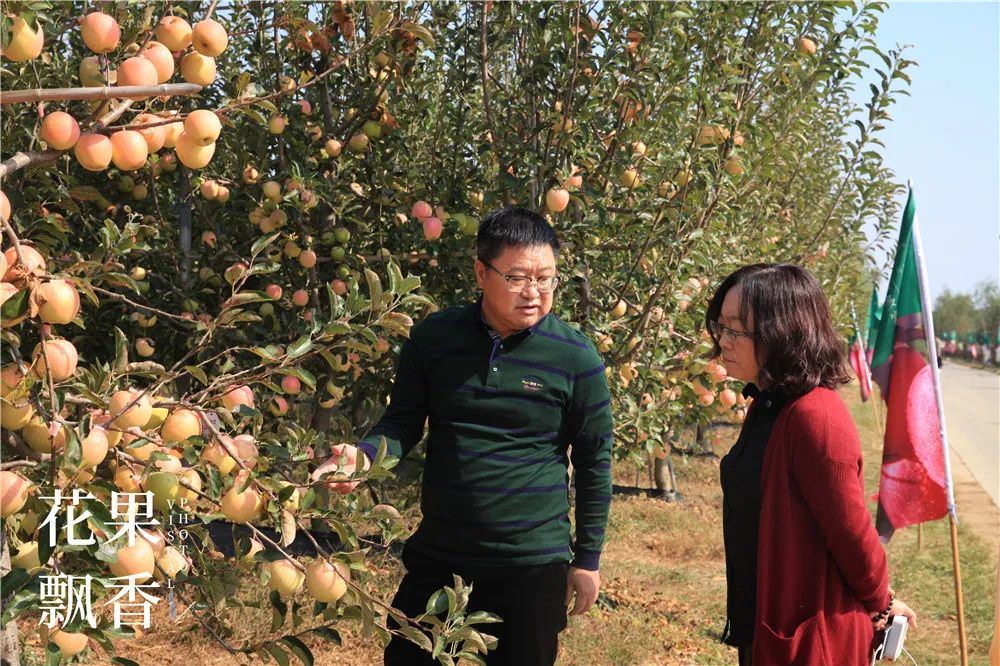 一箱水果能赚多少钱,一箱水果利润多少