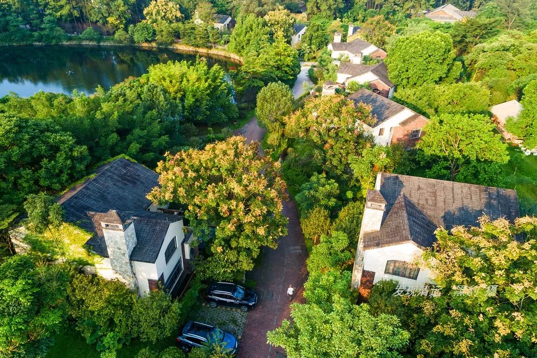 清远止林温泉民宿多少钱一晚,清远独立温泉民宿度假村排名榜