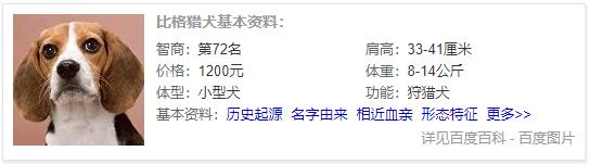狗狗品种大全及介绍,狗狗品种大全带你走进狗狗的世界