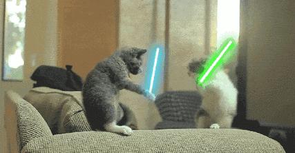 有专业的律师团队为你保驾护航,没有团队的律师靠谱吗