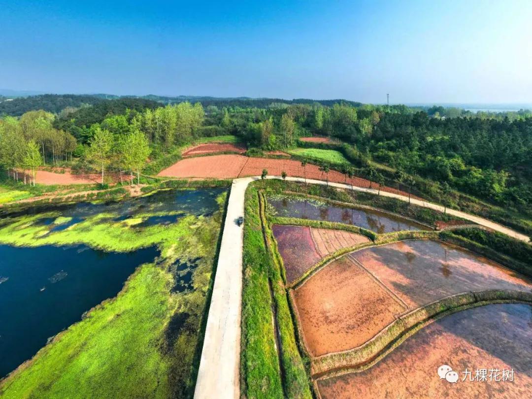 湖北襄阳谷城庙滩喻家湾,谷城县庙滩镇喻家湾村书记