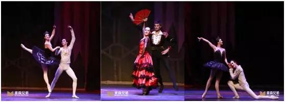 最美芭蕾舞天鹅湖,最美天鹅湖舞蹈