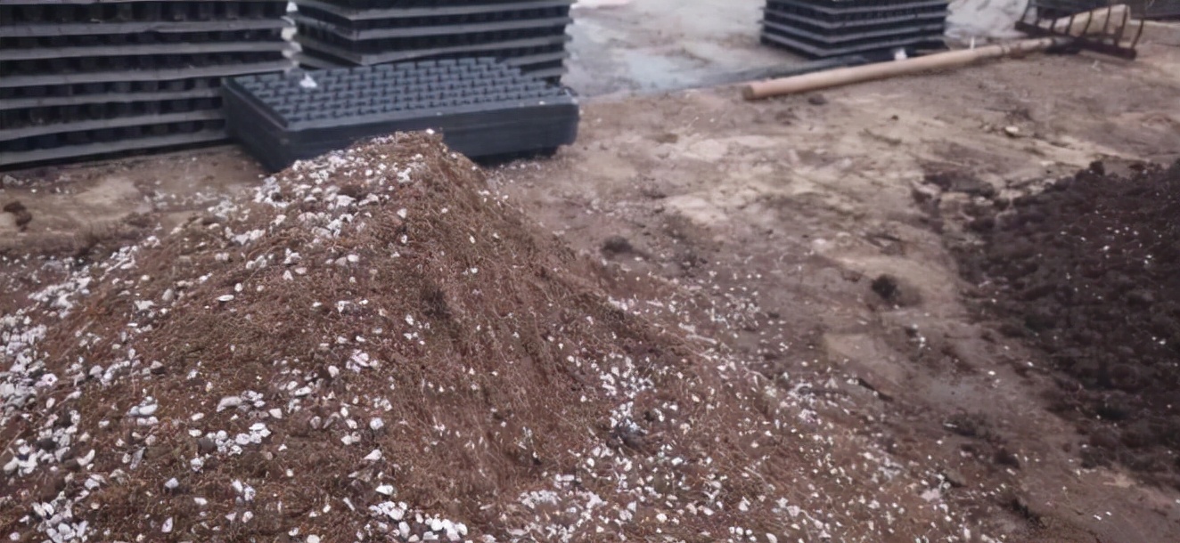 各种粪肥有什么作用,大田粪肥增产