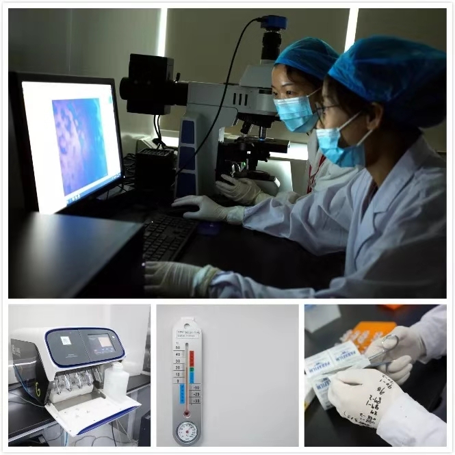 杭州佰美基因,佰美基因检测公司怎么样