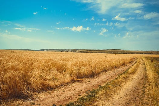 实习签劳务合同或者实习协议,在校生实习签实习协议有问题吗