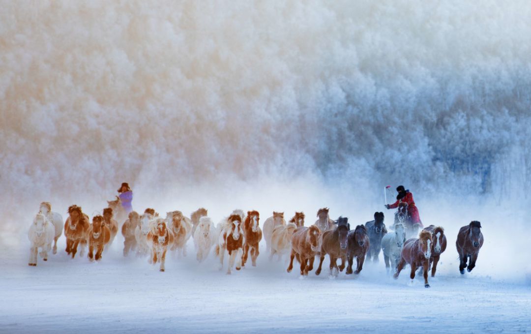 2020旅行时间表,2021年旅行时刻表出炉