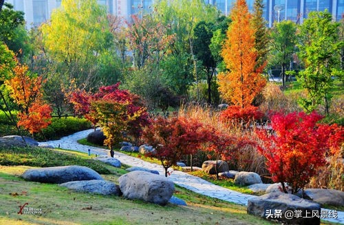 无锡自驾一日游免费景点,无锡免费爬山攻略一日游最佳路线