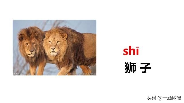 学拼音幼小衔接拼音认读,汉语拼音音节幼小衔接大班