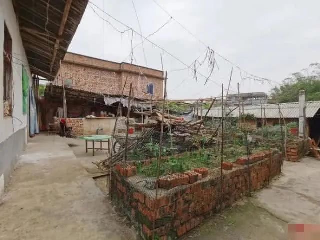 窃格瓦拉出狱了没,窃格瓦拉出狱一年开上了顶级豪车