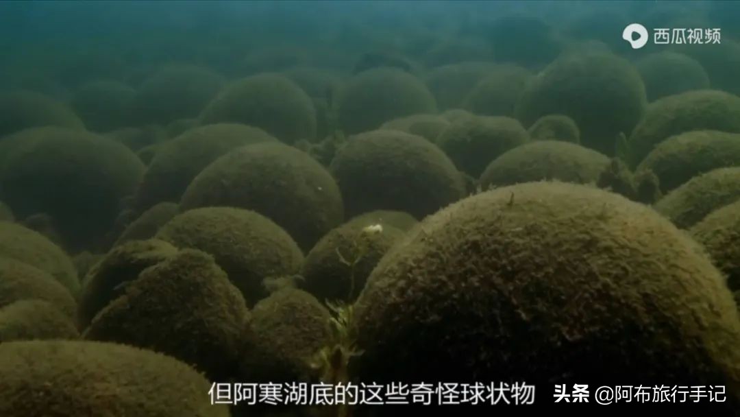 豆瓣9.1分看哭百万人,豆瓣评分9.0却很少有人看懂