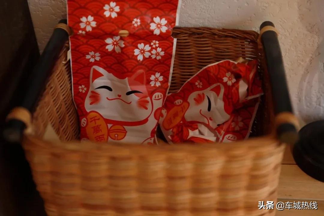 萌化了！十堰茅箭区首届撸猫节，周末约起