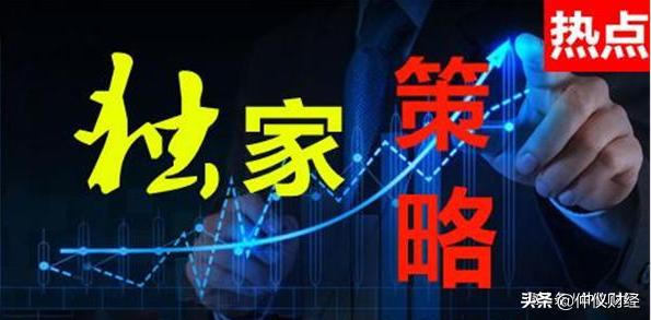 仲仪谈历史,仲仪仪表