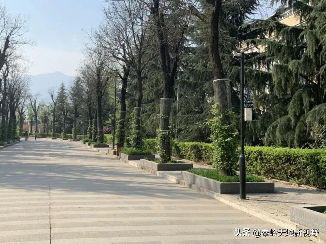 雄鹰劲旅国防教育基地军事特训营2020掠影