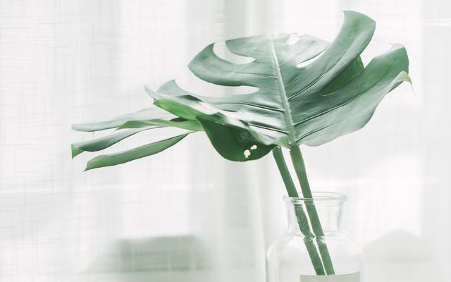 适合零基础女性创业小本生意,适合零基础女性创业小项目