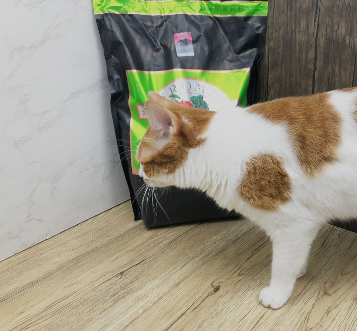 森林物语猫粮靠谱吗,海尔仕猫粮靠谱吗