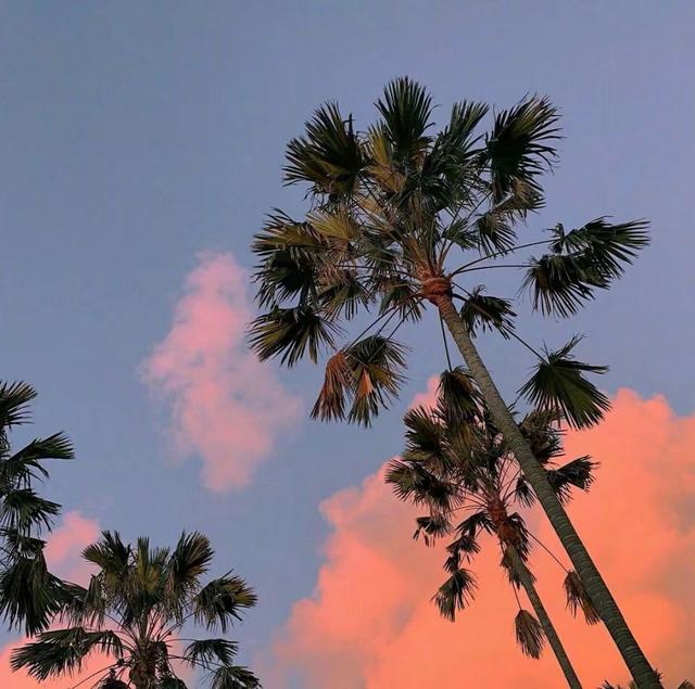 静谧的夜晚唯美句子短句67句,关于夜晚的唯美句子短句简短