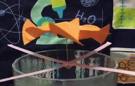 4个超有趣的小实验在家就能做,在家无聊做有趣的小实验