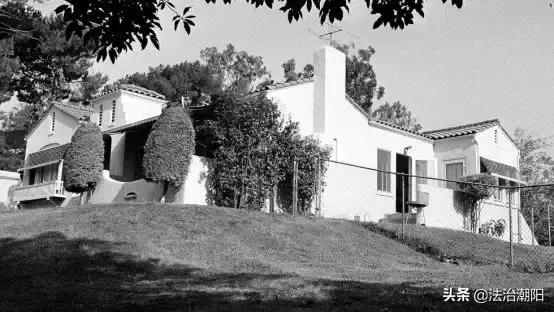 女明星怀孕被暴打,好莱坞怀孕女星被杀