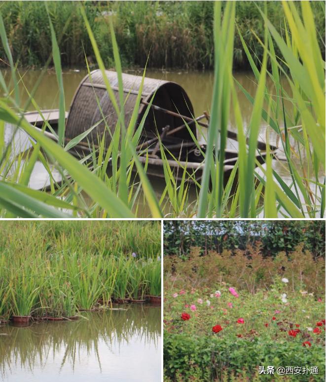 西安梦幻童话王国,西安童话小镇要门票不