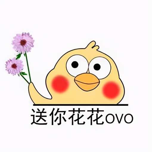 什么属相适合养什么植物,12生肖相对应的花卉是什么