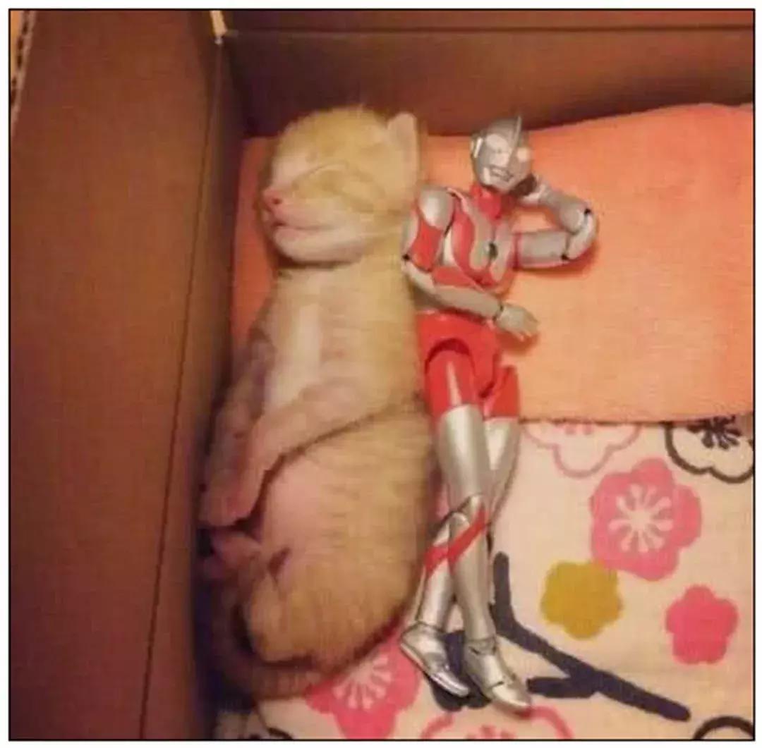 鑷粠鏈変簡鐚不鎰堜簡鎴戠殑鎳掓儼,涓轰粈涔堣姗樼尗鍗佹涔濇福