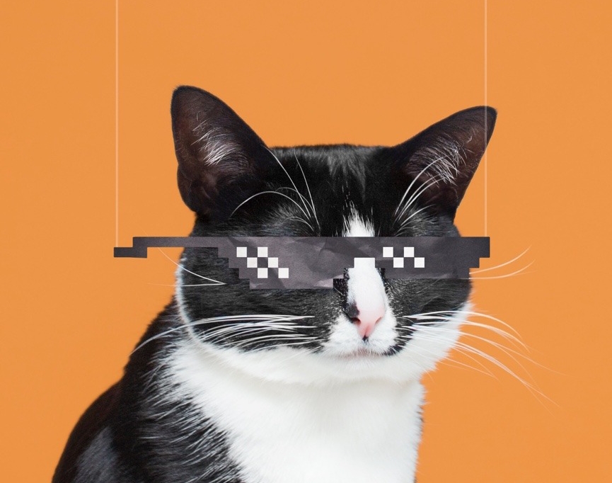 猫癣擦碘伏会好吗,猫癣怕什么