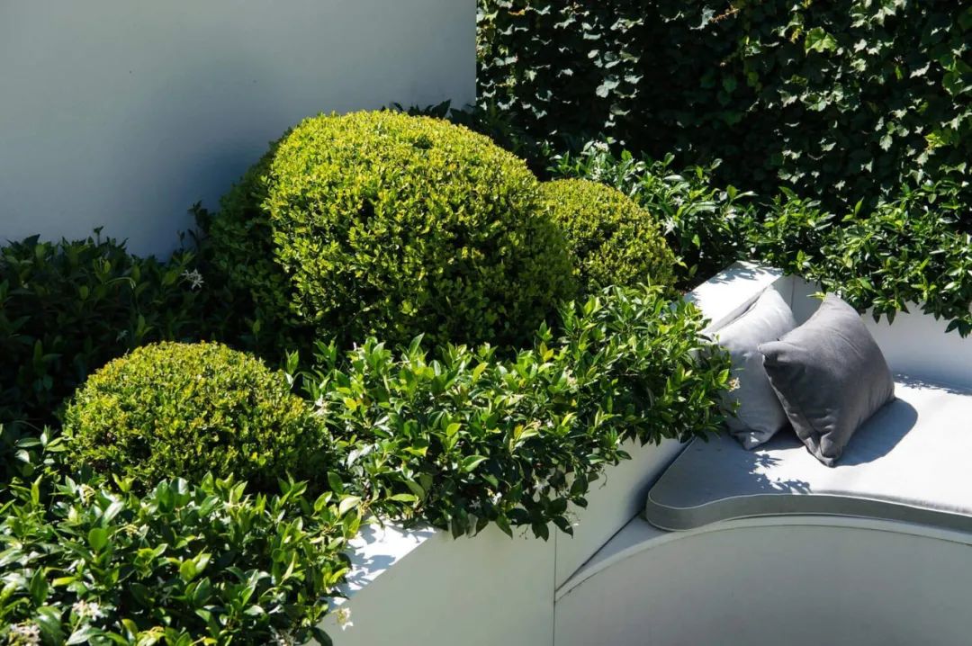 简单实用的家庭花园,20平方小花园