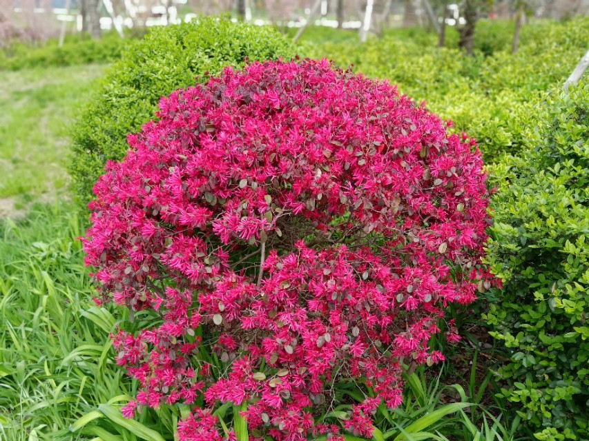 用文言文说学习秘诀,点拨怎么使用