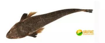 舟山海鲜攻略2天1晚住宿自由行,舟山最好的海鲜