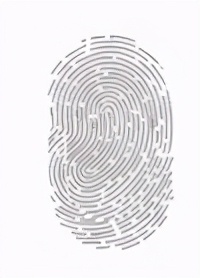 超个人心理学与超现实心理学,超个人心理学研究的意识是什么