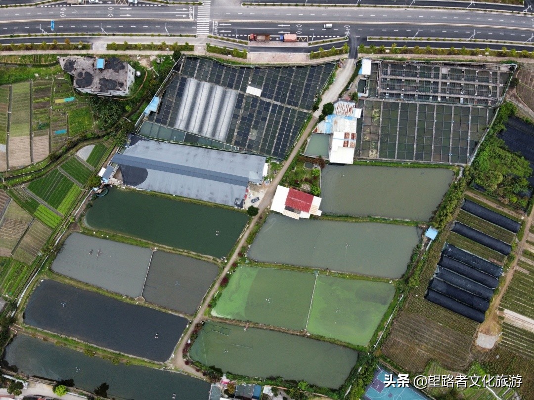 旗山农家小院,旗山农家乐