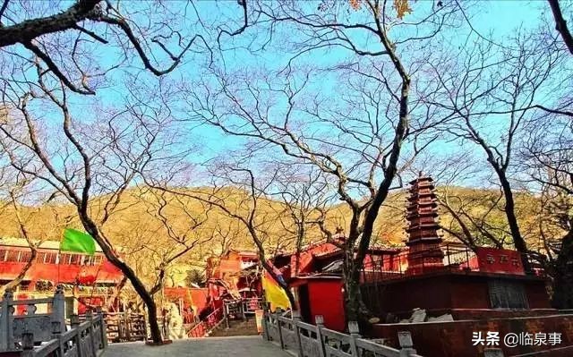 最新安徽61县市经济实力排行榜!临泉排名前列!