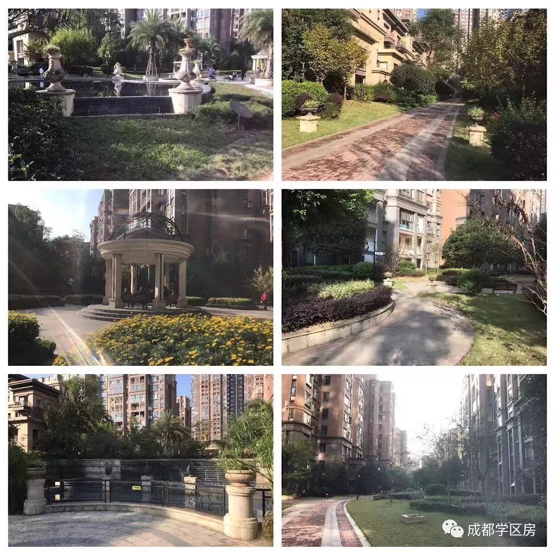 天府新区私立小学招生简章,天府新区第六小学对应初中