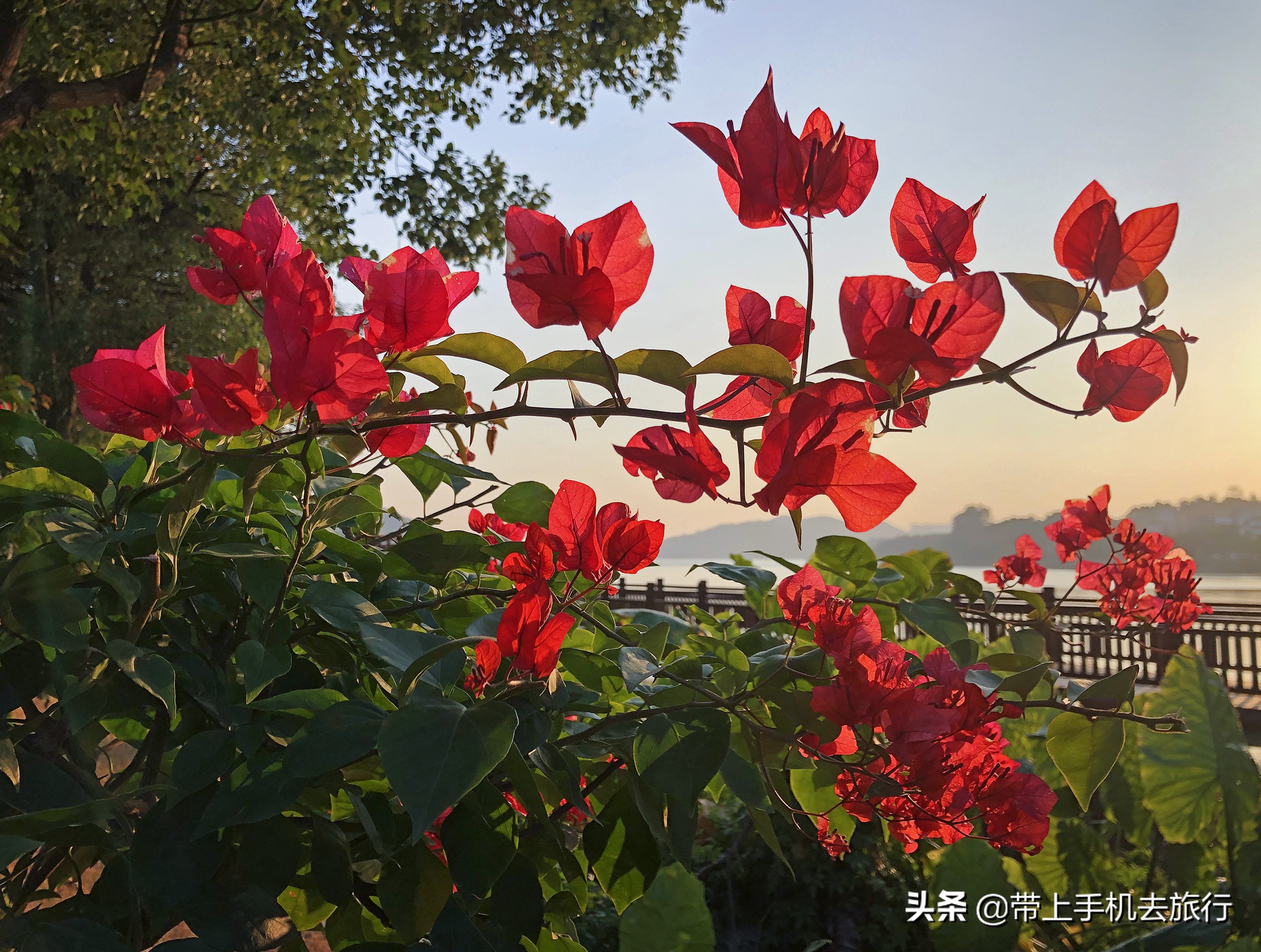 高清晰手机屏保,高画质手机屏保