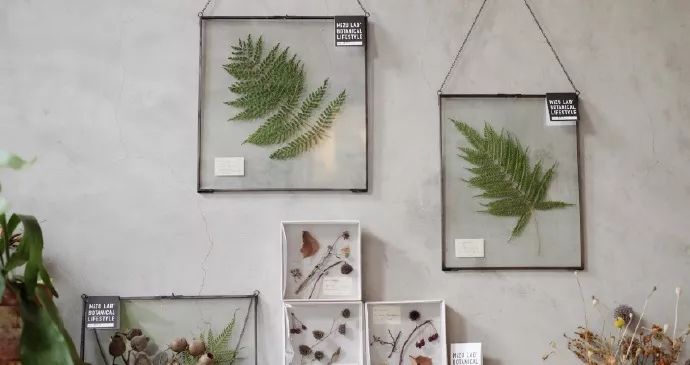 她辞去总监回家扶贫后续,她辞去总监回家扶贫结局