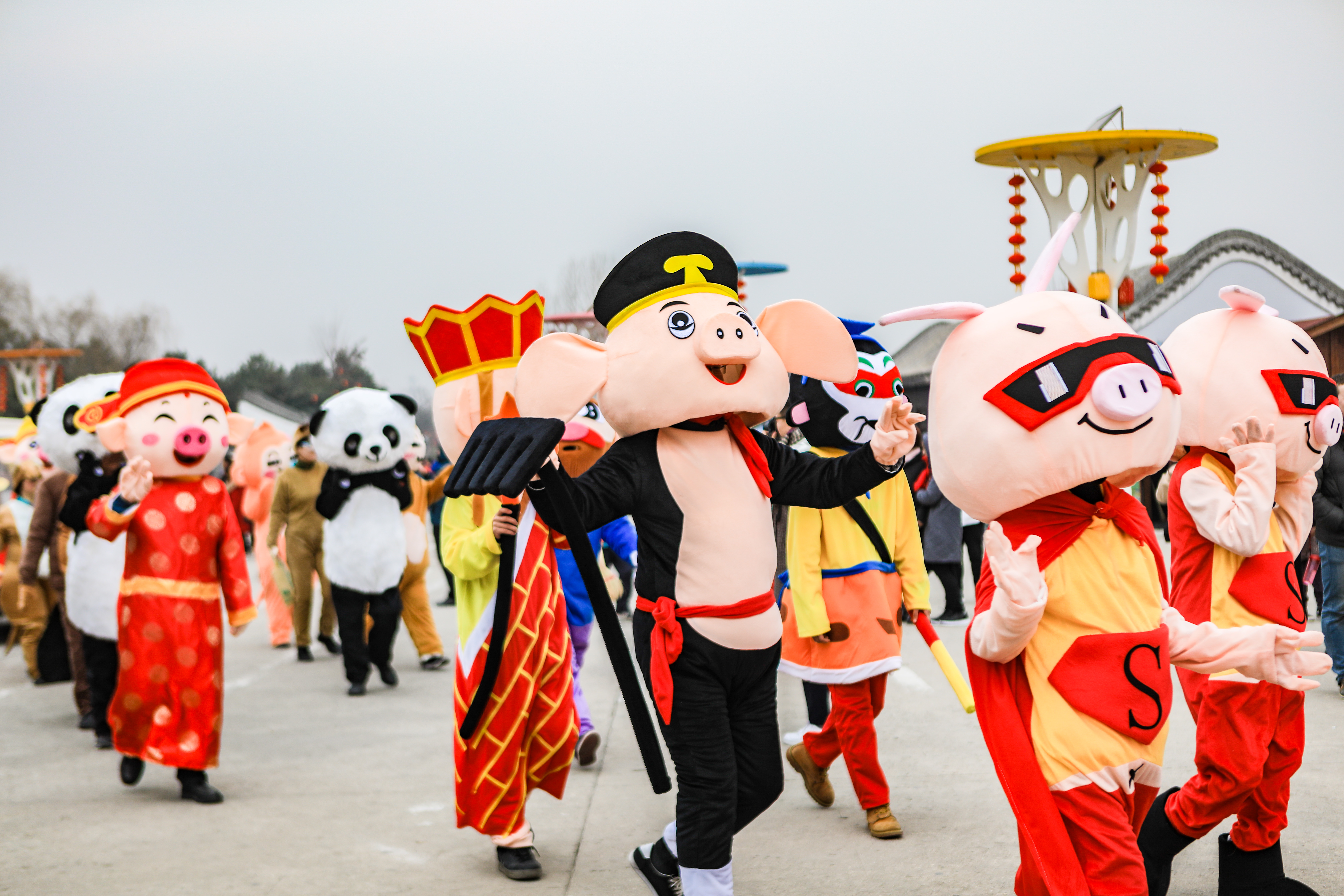 这是西北首个野生动物园，实测喂老虎是一种怎样感受！刺激