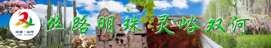 师市抗疫实录之四:把疫情防控阻击战作为锤炼机关干部作风的“练兵场”