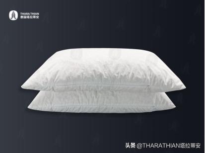 泰国塔拉蒂安THARA THIAN创意碎胶系列领先上市