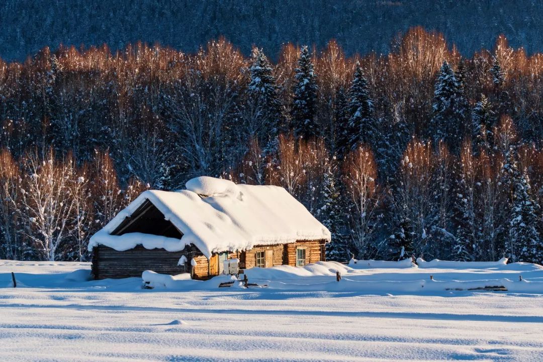 鍫瘮鐟炲+鐨勪腑鍥芥粦闆満,濯茬編鐟炲+