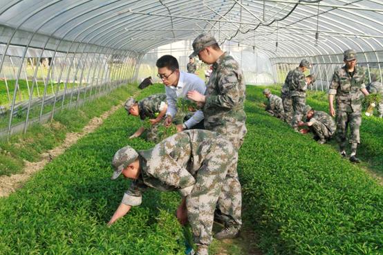 头条企业志第七期|正心教育,青少年的专业成长基地