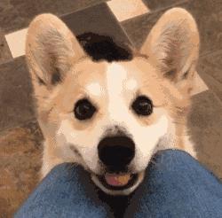 为什么吐舌,宝宝总是吐舌头什么原因