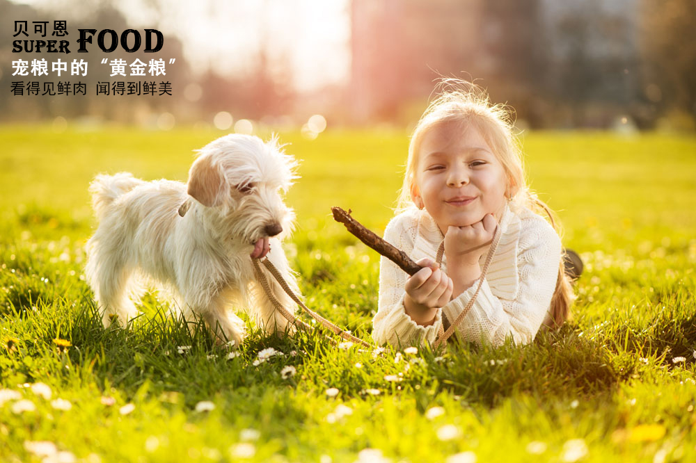 喷什么防止狗狗乱尿,怎么缓解狗狗尿闭