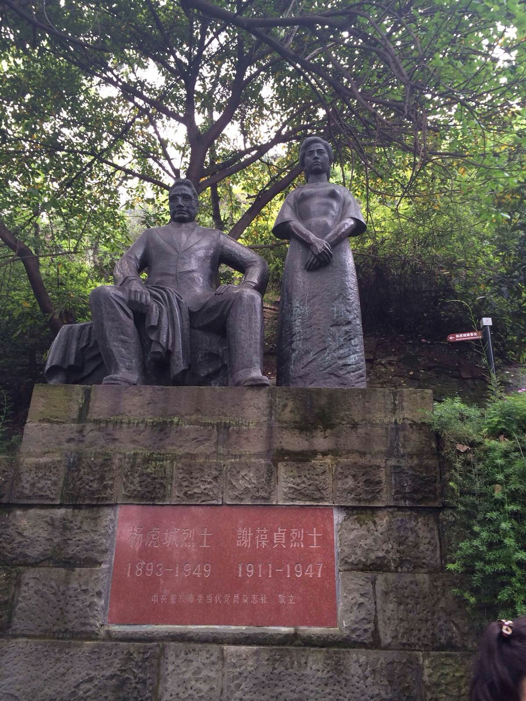 杨虎城被关押电视剧,杨虎城被囚禁后所生女儿