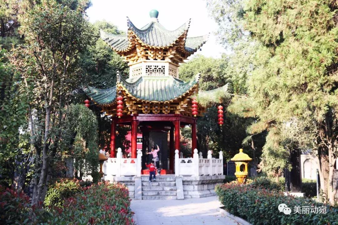 这本书,世上只有一本;这个人,也再也不会出现