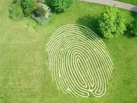 花园草地打理,花园草坪养护