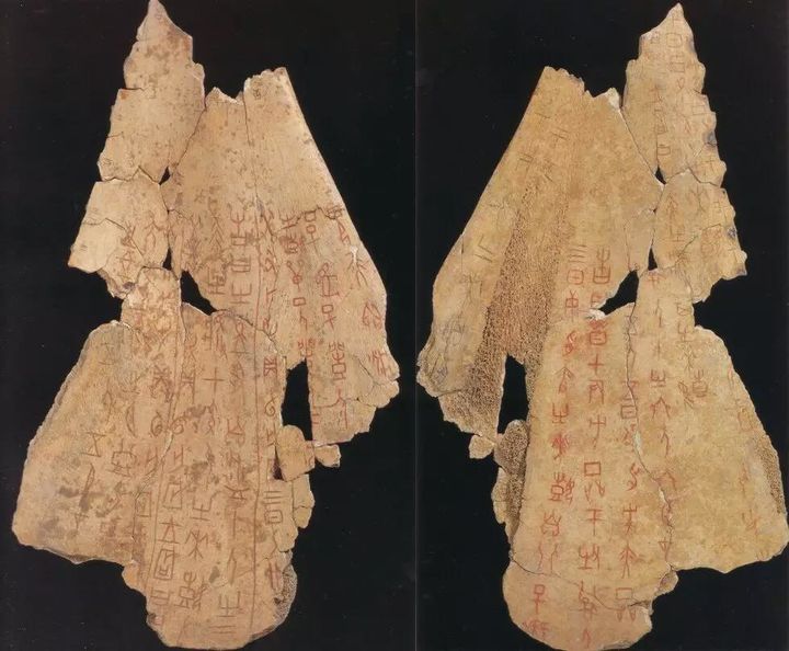 奶牛身上开洞是怎么回事,牛身开洞是什么原因