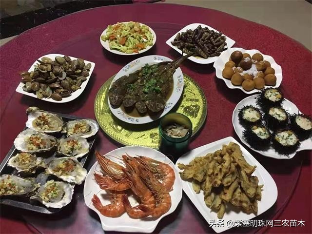 爱上一座城爱上一个人短视频,长岛大壮渔家民宿团购